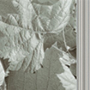 Gạch 05.070300.09312